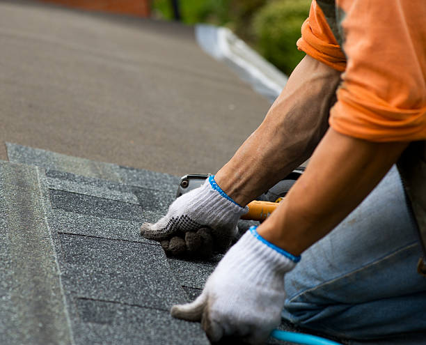 Quick and Trustworthy Emergency Roof Repair Services in Blaine, WA