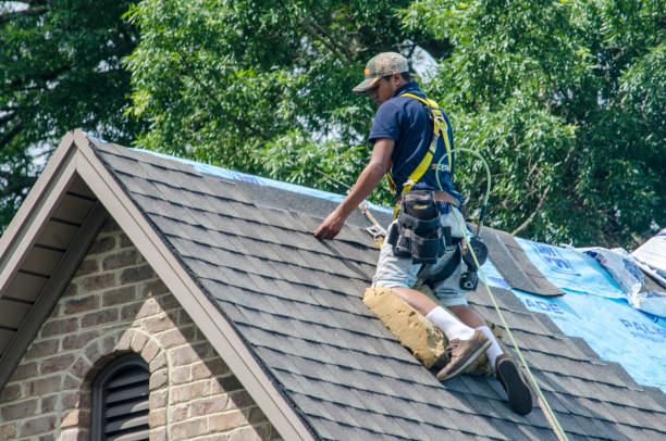 Best Metal Roofing Contractor  in Blaine, WA